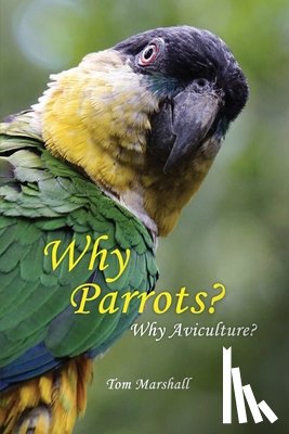 Marshall, Tom - WHY PARROTS