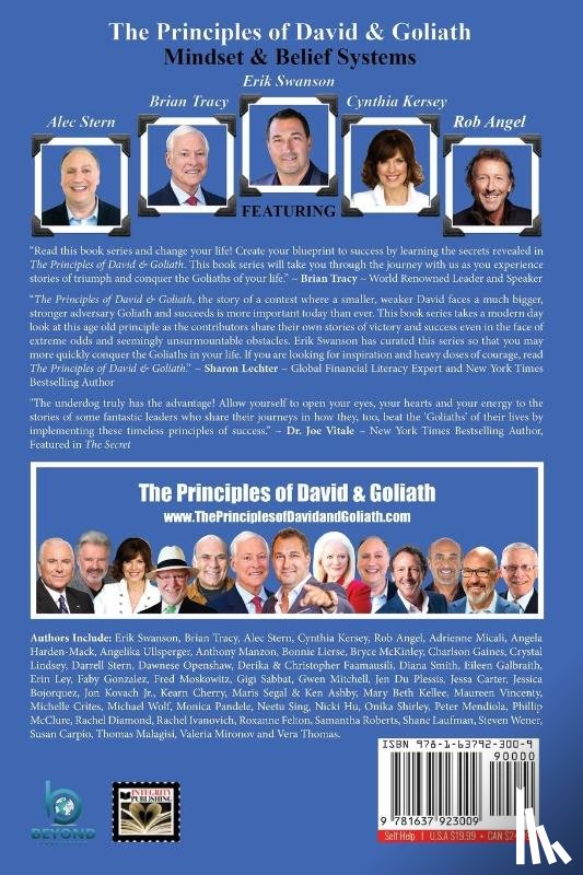 Swanson, Erik - The Principles of David and Goliath Volume 1