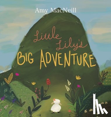 MacNeill, Amy - Little Lily's Big Adventure