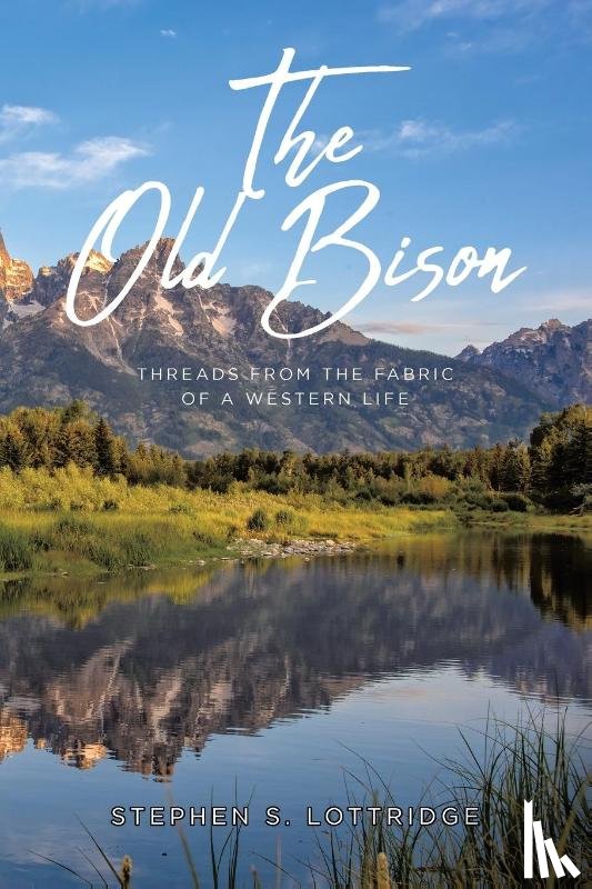 Lottridge, Stephen S - The Old Bison