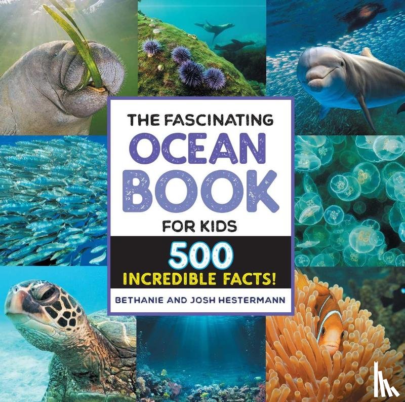 Hestermann, Bethanie, Hestermann, Josh - The Fascinating Ocean Book for Kids