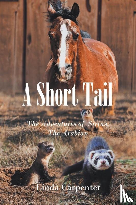 Carpenter, Linda - A Short Tail