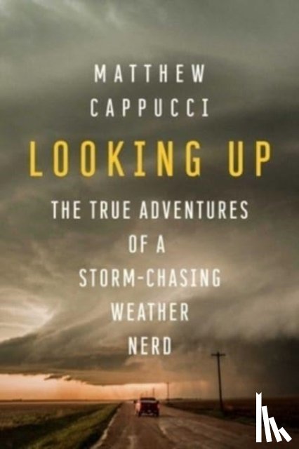 Cappucci, Matthew - Looking Up
