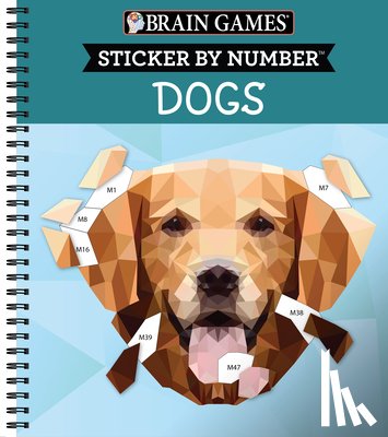 Publications International Ltd - BRAIN GAMES - STICKER BY NUMBE