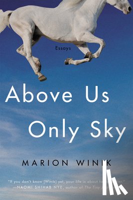 Winik, Marion - Above Us Only Sky