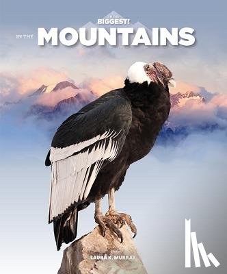 Murray, Laura K. - In the Mountains