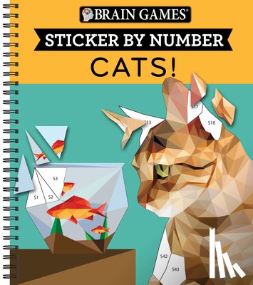 Publications International Ltd, New Seasons, Brain Games - BRAIN GAMES - STICKER BY NUMBE