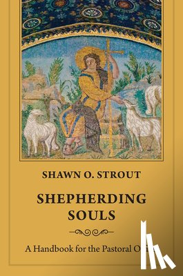 Strout, Shawn O. - Shepherding Souls