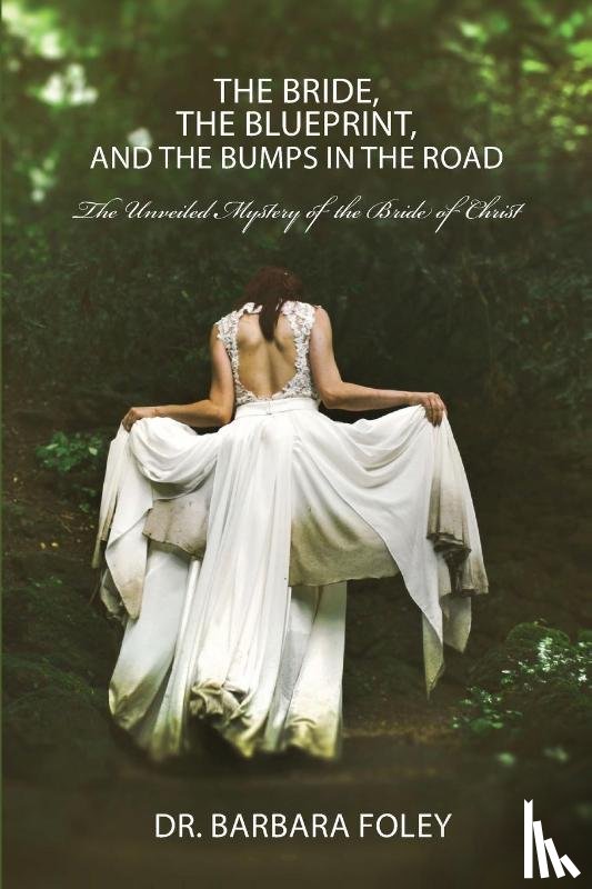Foley, Barbara - The Bride, the Blueprint, and the Bumps in the Road