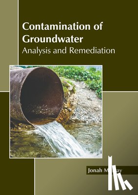 Murray, Jonah - Contamination of Groundwater: Analysis and Remediation