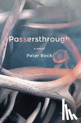 Rock, Peter, MD, FCCP, MBA - Passersthrough