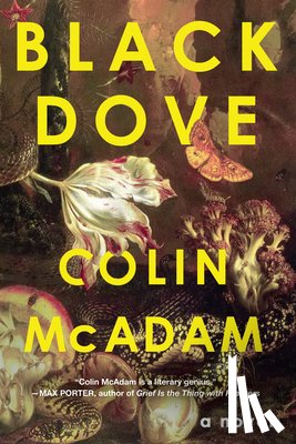 McAdam, Colin - Black Dove