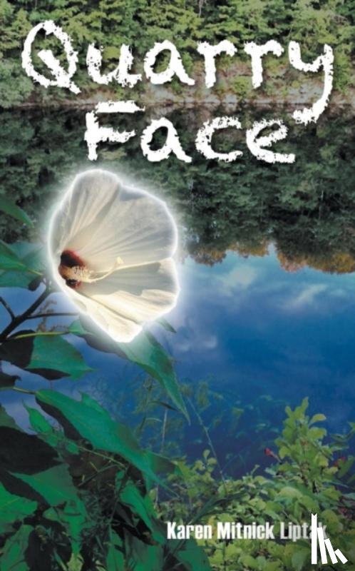 Liptak, Karen Mitnick - Quarry Face