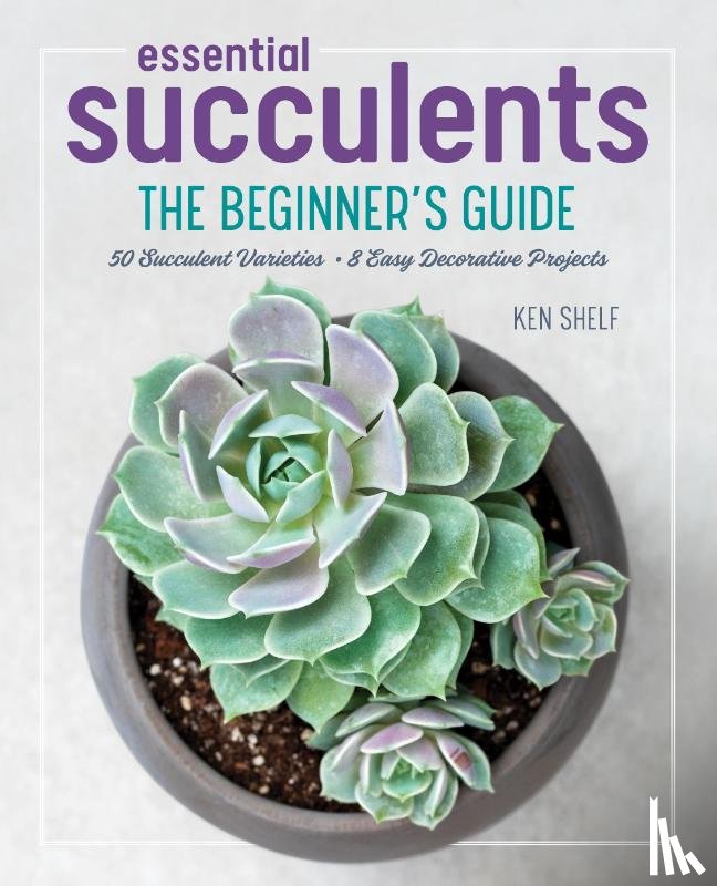 Shelf, Ken - Essential Succulents