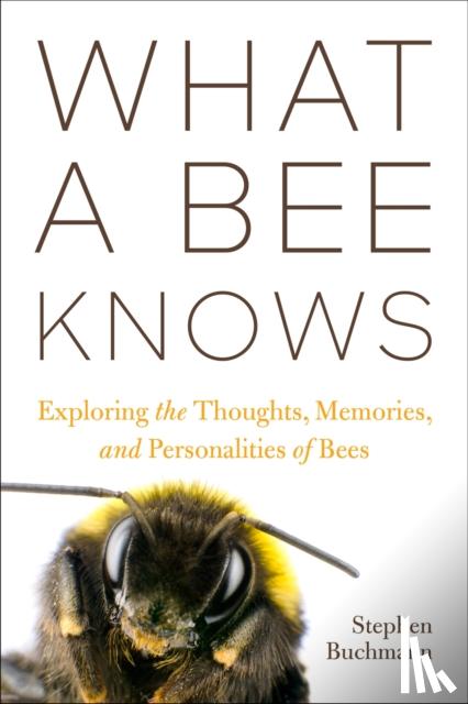 Buchmann, Stephen L - What a Bee Knows