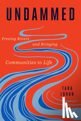 Lohan, Tara - Undammed