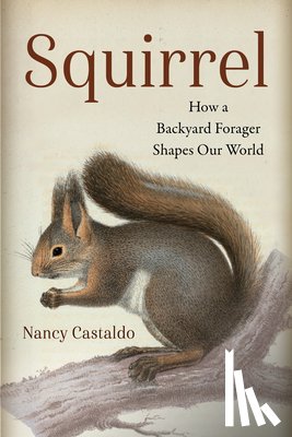 Castaldo, Nancy - Squirrel