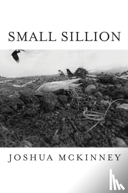 McKinney, Joshua - Small Sillion