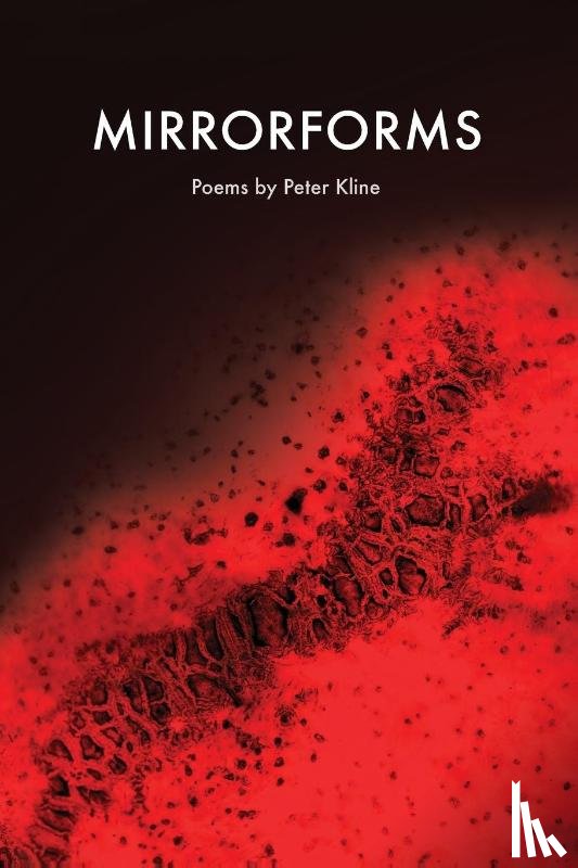 Kline, Peter - Mirrorforms