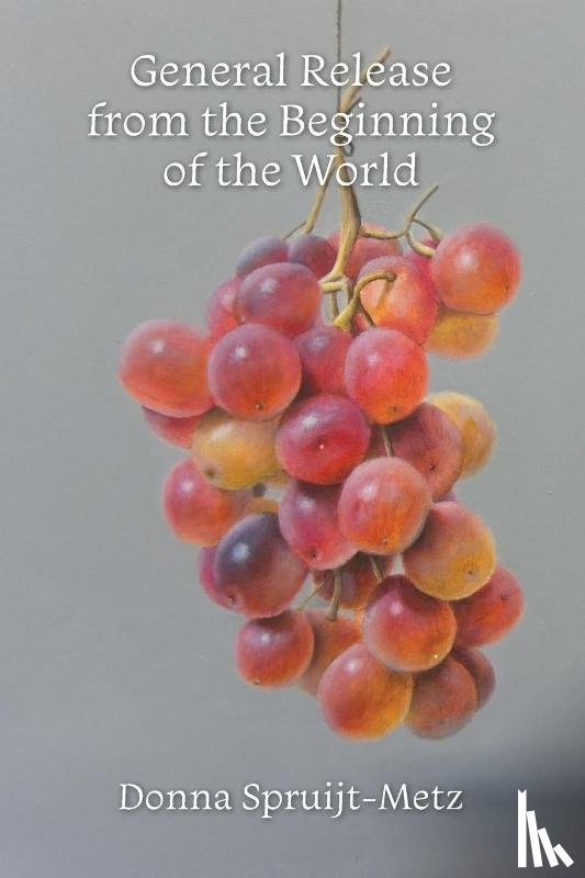 Spruijt-Metz, Donna - General Release from the Beginning of the World