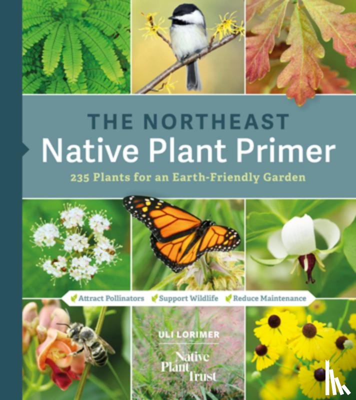 Lorimer, Uli - The Northeast Native Plant Primer: 235 Plants for an Earth-Friendly Garden