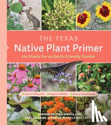 DeLong-Amaya, Andrea, Center, Lady Bird Johnson Wildflower - The Texas Native Plant Primer