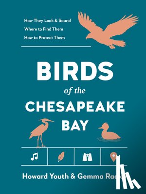 Radko, Gemma, Youth, Howard - Birds of the Chesapeake Bay