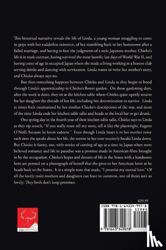 Rosenbery, Linda - After the Flash