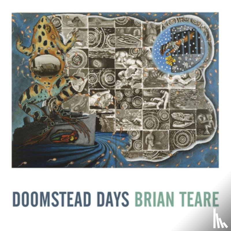 Teare, Brian - Doomstead Days