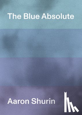 Shurin, Aaron - The Blue Absolute