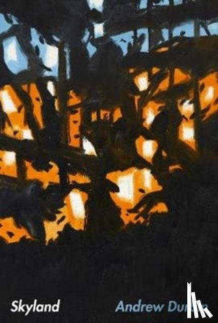 Durbin, Andrew - Skyland