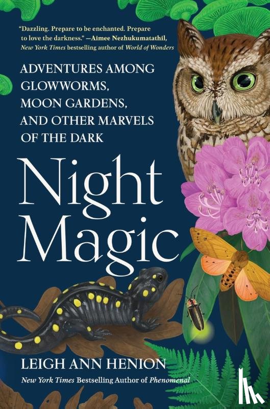 Henion, Leigh Ann - Night Magic