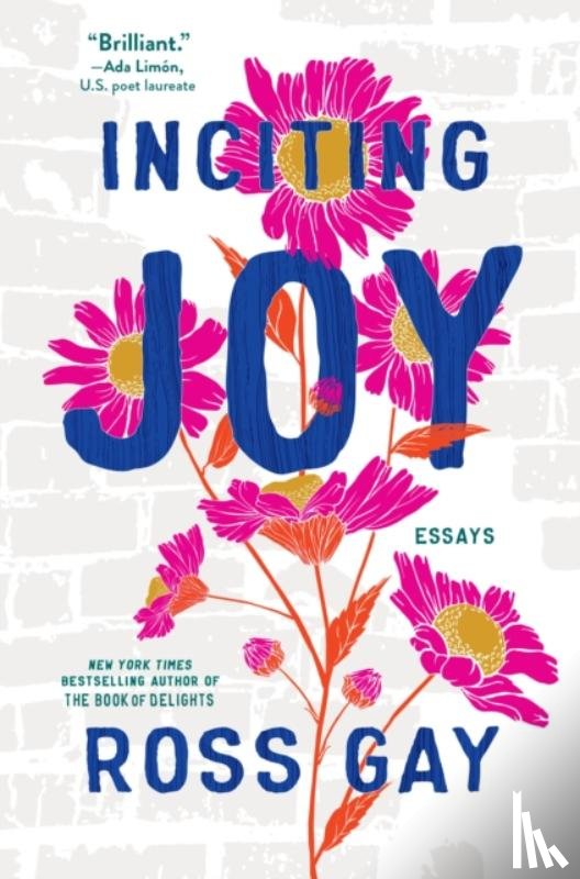 Gay, Ross - Inciting Joy