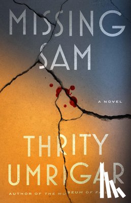 Umrigar, Thrity - Missing Sam