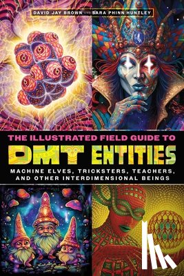 Brown, David Jay, Huntley, Sara Phinn - The Illustrated Field Guide to DMT Entities