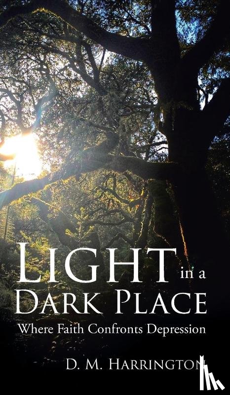 Harrington, D M - Light in a Dark Place