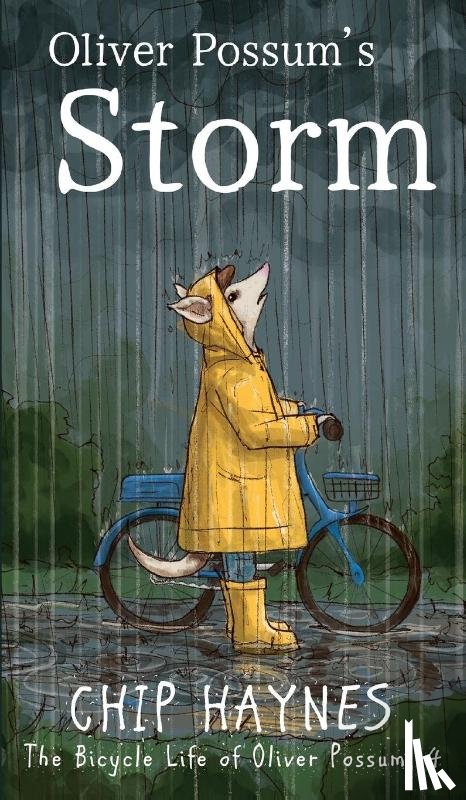 Haynes, Chip - Oliver Possum's Storm