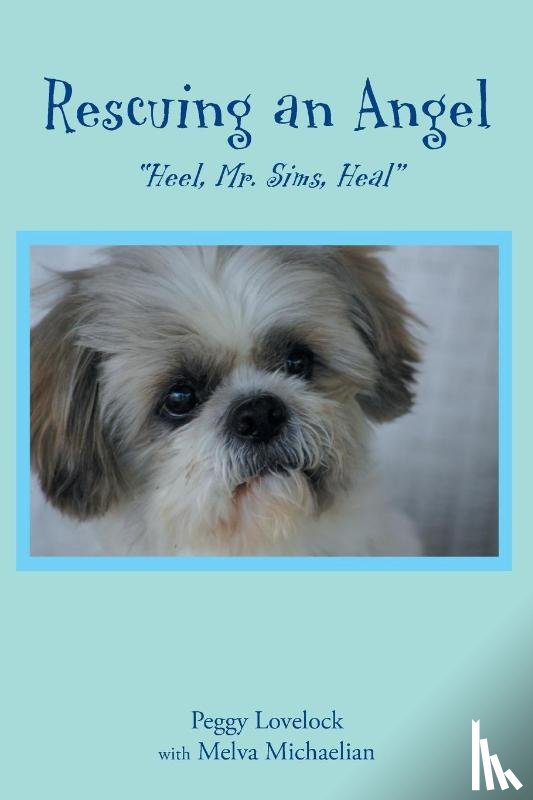 Lovelock, Peggy, Michaelian, Melva - Rescuing an Angel