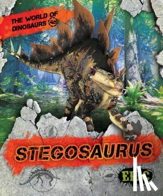 Sabelko, Rebecca - Stegosaurus