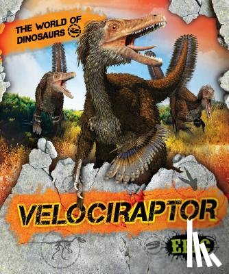 Sabelko, Rebecca - Velociraptor