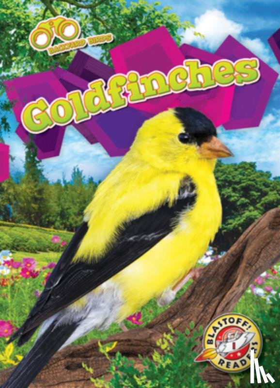 Neuenfeldt, Elizabeth - Goldfinches