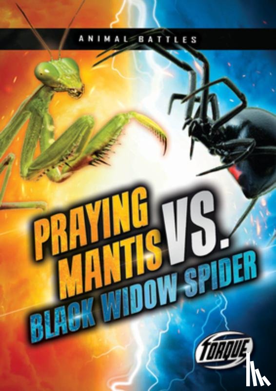 Downs, Kieran - Praying Mantis vs. Black Widow Spider