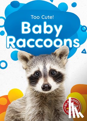 Neuenfeldt, Elizabeth - Baby Raccoons