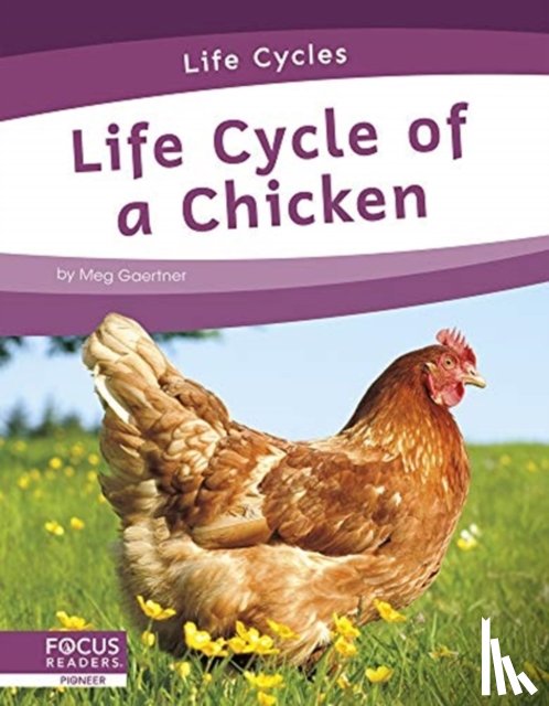 Gaertner, Meg - Life Cycle of a Chicken
