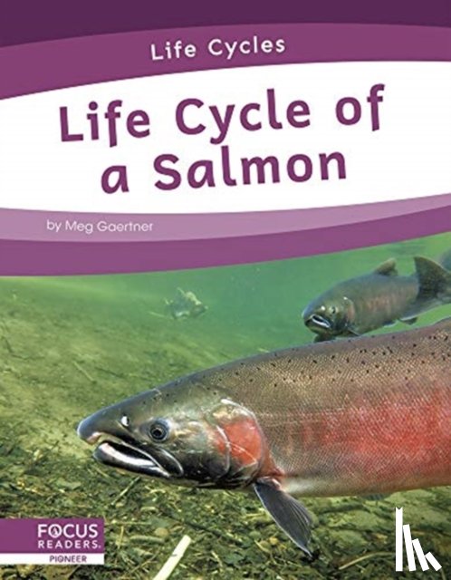 Gaertner, Meg - Life Cycle of a Salmon
