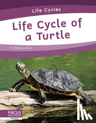 Gaertner, Meg - Life Cycle of a Turtle