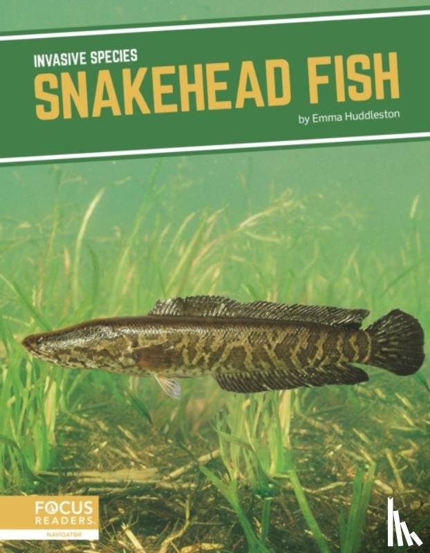 Huddleston, Emma - Snakehead Fish