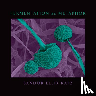 Katz, Sandor Ellix - Fermentation as Metaphor