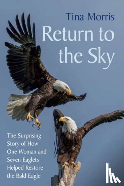 Morris, Tina - Return to the Sky
