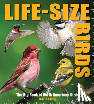 Hajeski, Nancy J. - Life-Size Birds: The Big Book of North American Birds